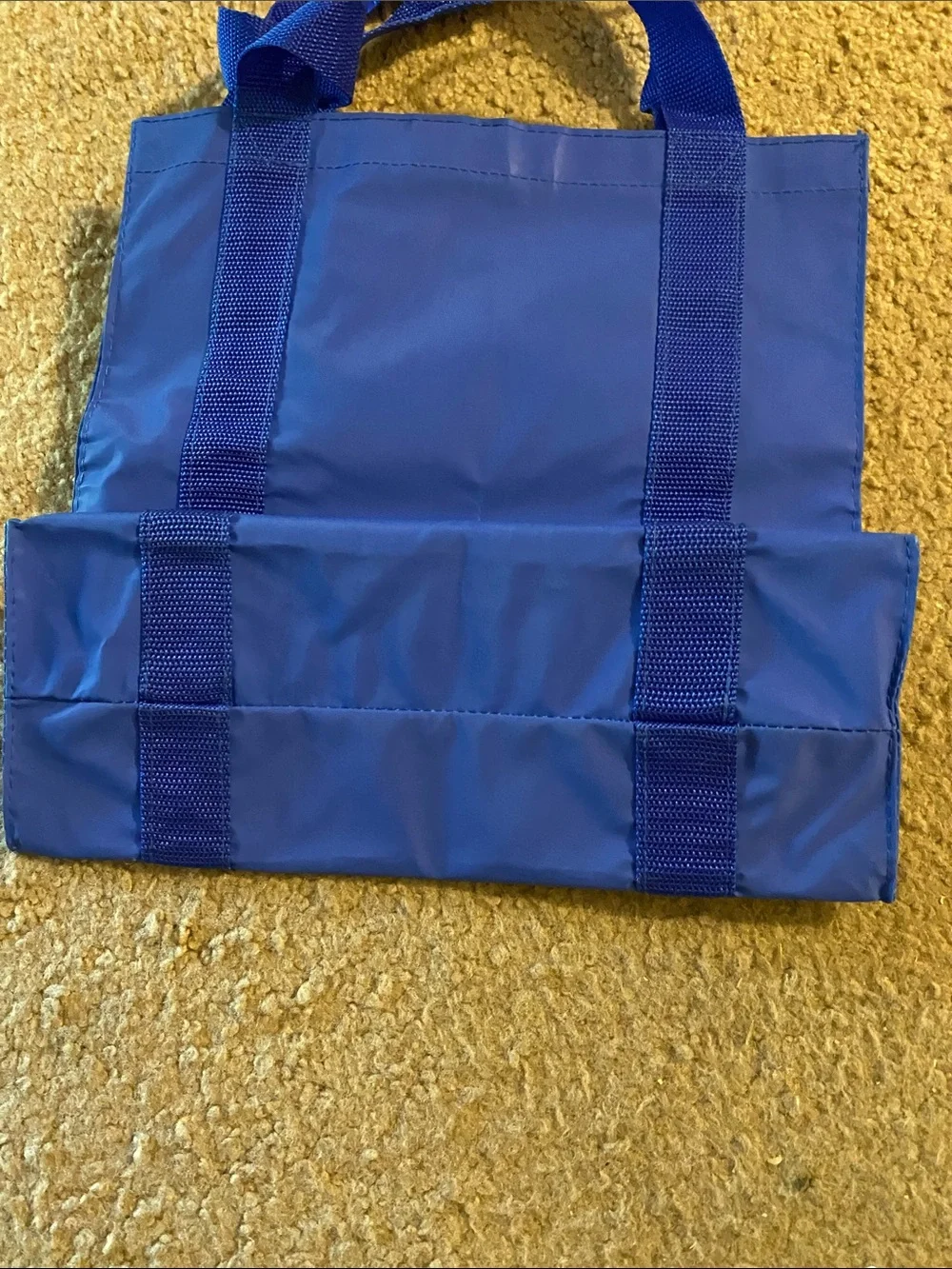 Miles Kimball Blue Snowman Tote Bag